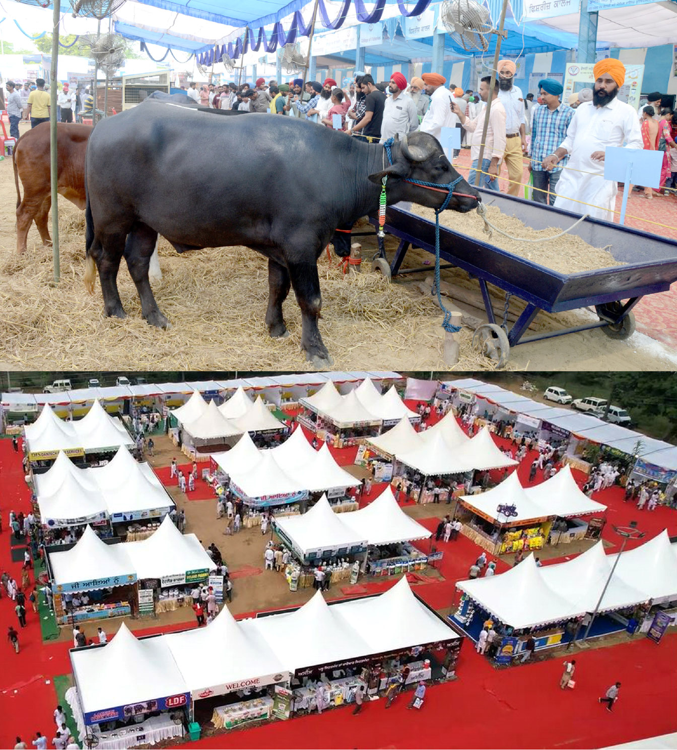 Vet Varsity to Host Pashu Palan Mela on 26–27 September